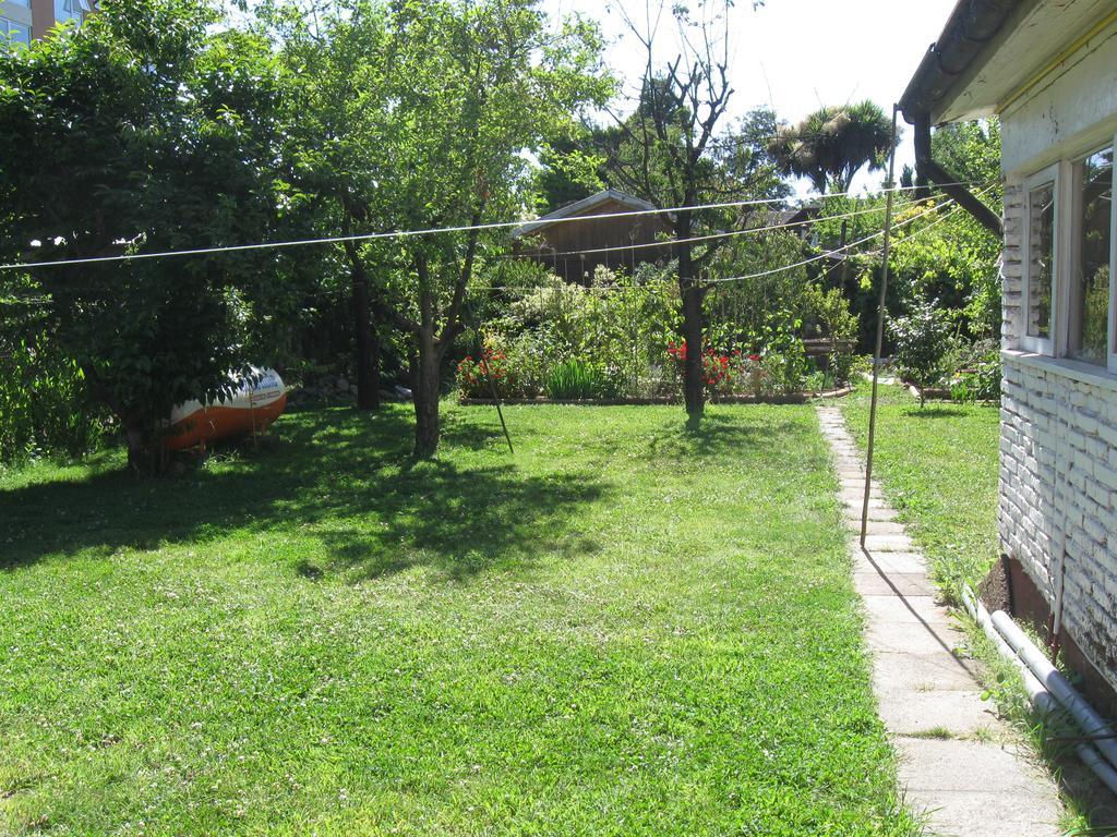 Hostal Entre Araucarias Temuco Eksteriør billede